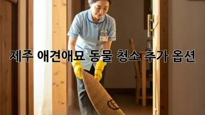 제주 애견/애묘 동물 청소 추가 옵션