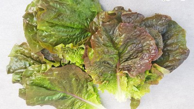 놓치면 후회! 적상추특 초특가 후기🥬