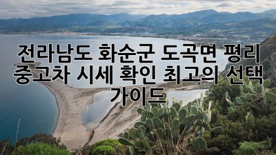전라남도 화순군 도곡면 평리 중고차 시세 확인! 최고의 선택 가이드